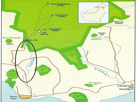 Plant4Tawau: hornbill conservation by the replanting of Ficus in forest tracts of Tawau, South East Sabah