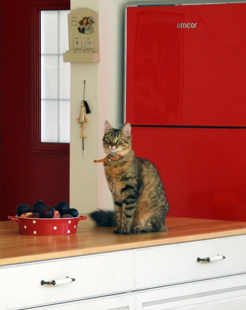 בית של ענתי - יקנעם