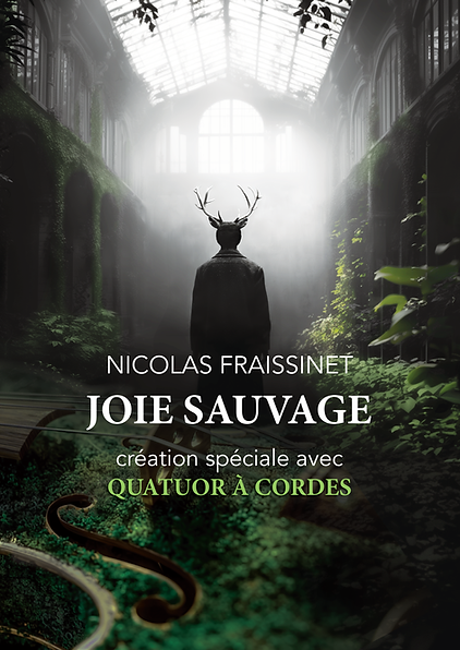 00-HC-meta-AFFICHE-A2 - MILLENNIUM II.png