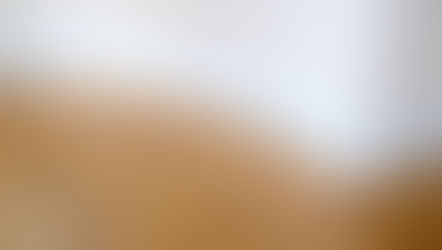 Purchase Plus Improvements