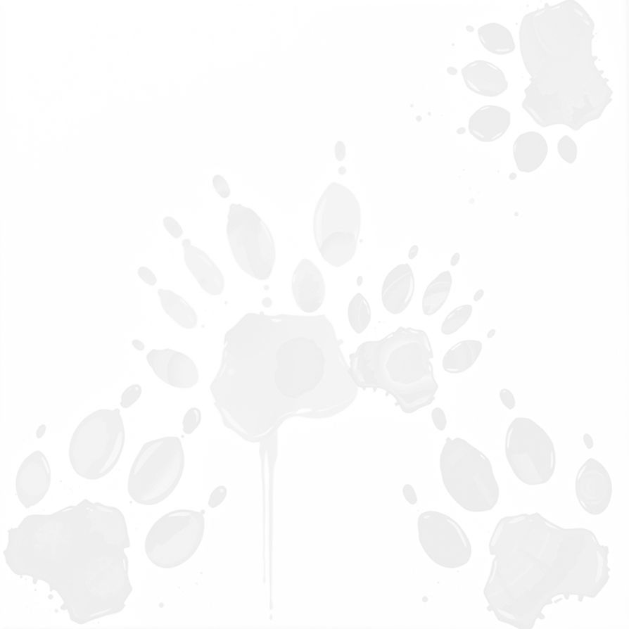paw prints _edited_edited.jpg