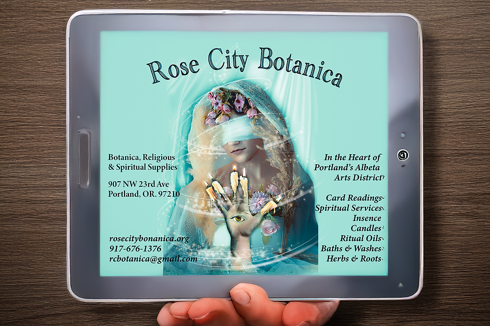 botanica web bannere.png