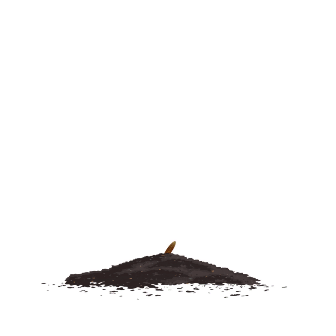 tree cycle_gif(1).gif