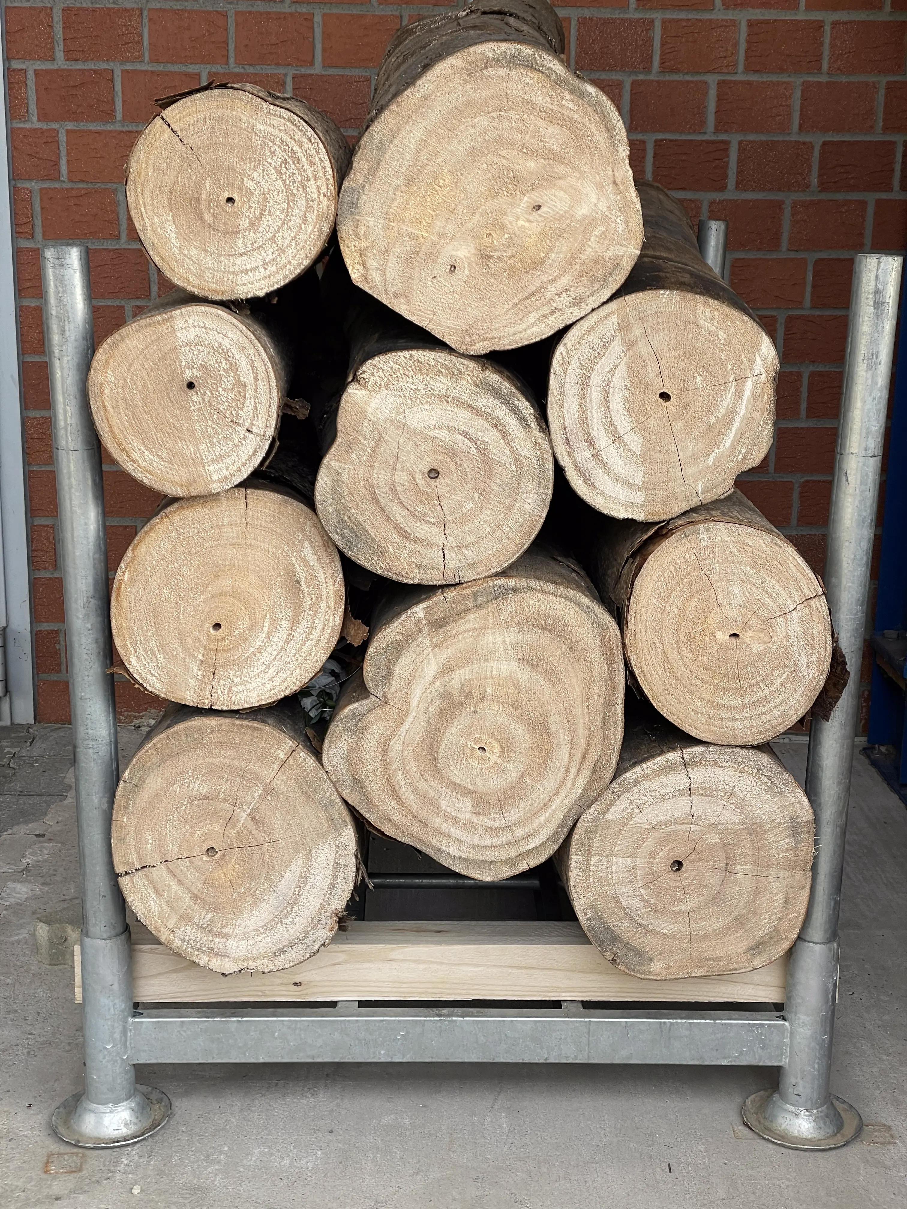 WeGrow_230201_031.webp