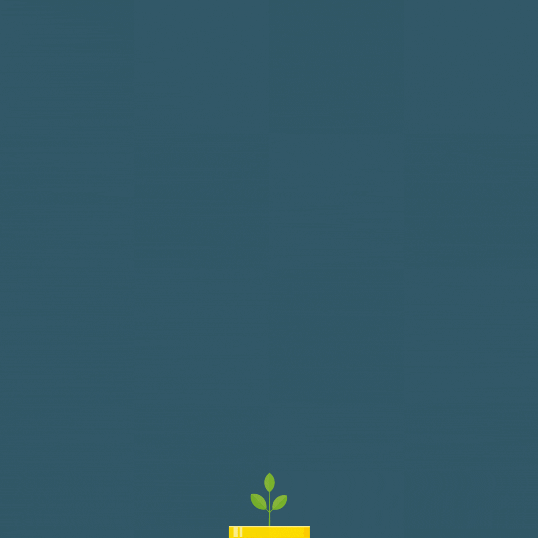 Investissement.gif