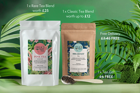 1 x Rare Tea Blend (3).png