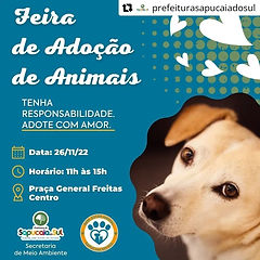 Vereadora Veridiana Pacheco Causa Animal 15