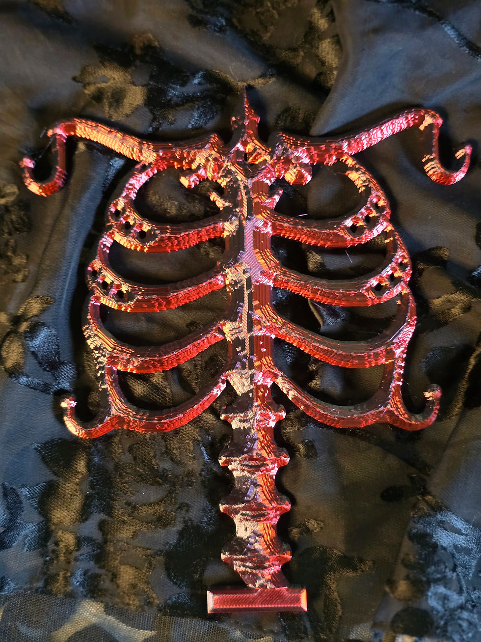 Thumbnail: The Ossuary Ribcage Jewelry Stand