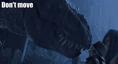 tumblr_394f9537d2463efa43888c1a195521aa_edf5a51b_400.gif
