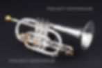 サムネイル： GENEVA B管コルネット Cardinal 新品 - CR36001