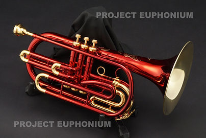 PROJECT EUPHONIUM - AMUSE 選べる表面仕上 その3