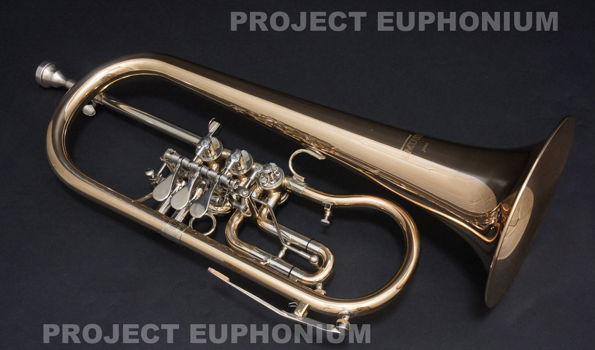 GERMAN ROTARY FLUGELHORN AMRF-212R Intelligence