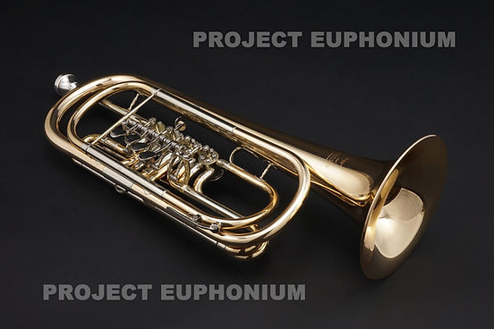 PROJECT EUPHONIUM - AMUSE LOW BRASS