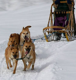 10391405_770028016407720_1429143444272940702_n_edited.jpg