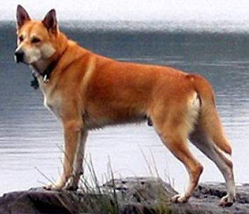 Ukko2_edited_edited.jpg