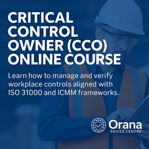 Critical control owner managing critical controls in accordance with ISO 31000 and ICMM framework