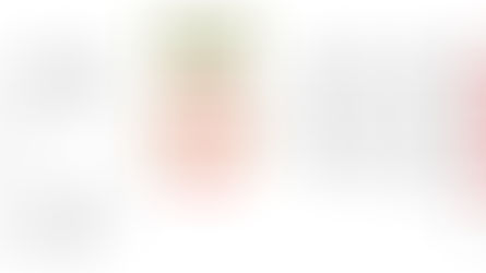 Risk Bowtie Analysis