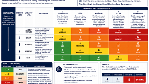 Psychosocial Risk Matrix