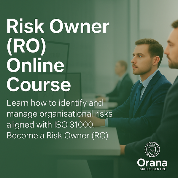 Risk owner managing critical risks in accordance with ISO 31000