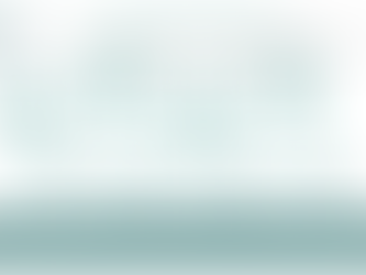 Risk-Based Leadership™ Model for operational leadership development