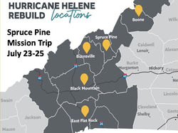 Spruce pine