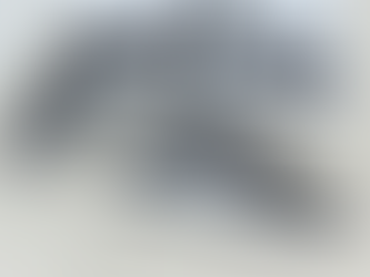 Nike Dunk Low黑白怎麼抽籤2023指南 – 成功抽中經典鞋款的訣竅