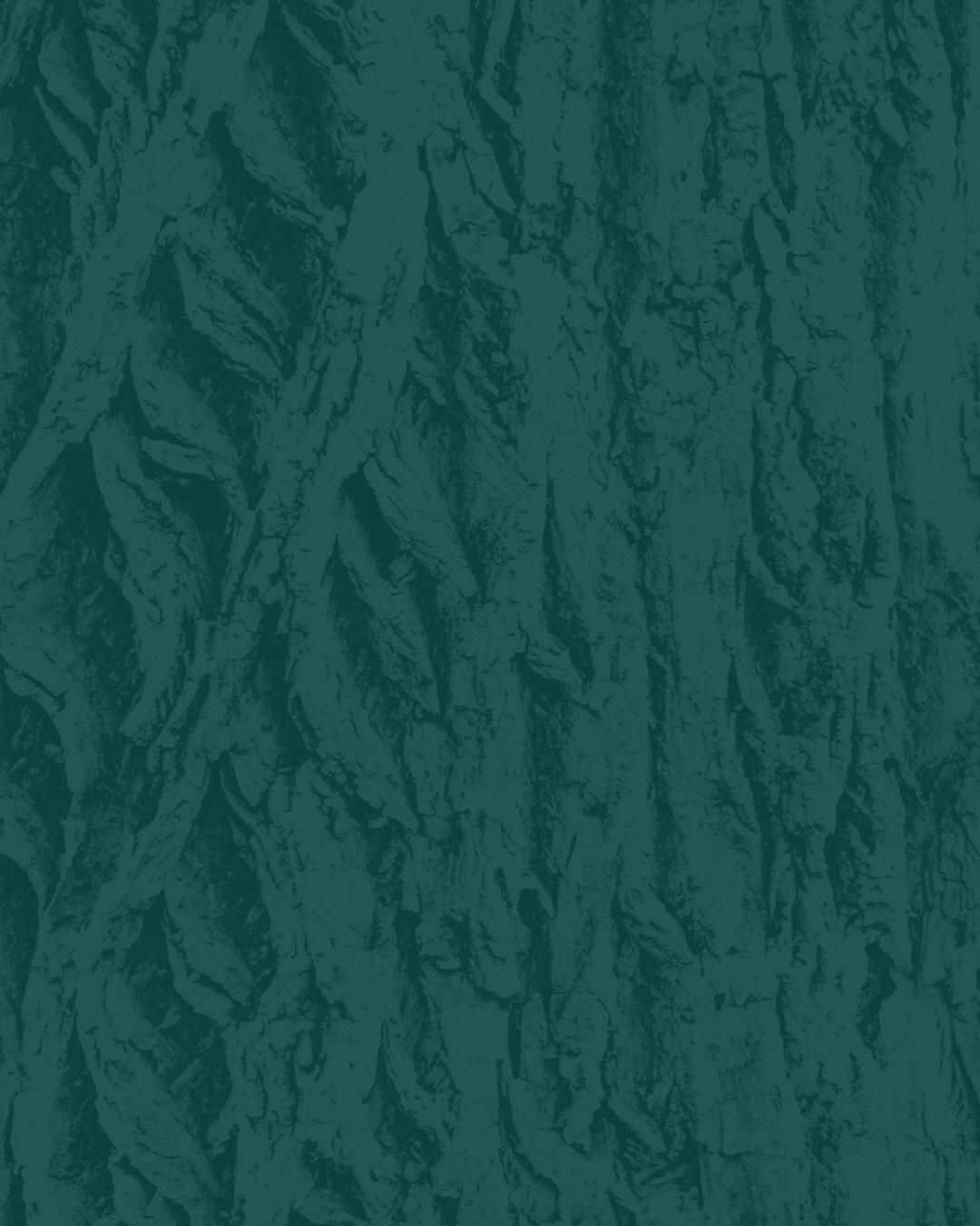 Holy Week 2026 Post.gif