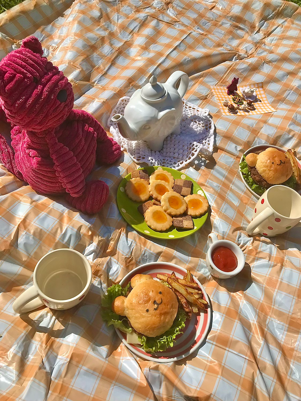 Real and Mini Picnic