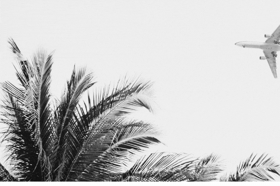 COMING SOON (6 x 4 in).gif