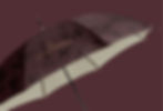 belvedere_umbrella.jpg