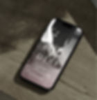 belvedere_socialPhone.jpg