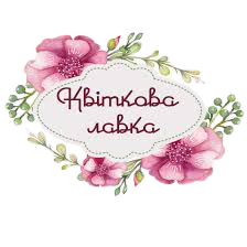 Без_названия-removebg-preview