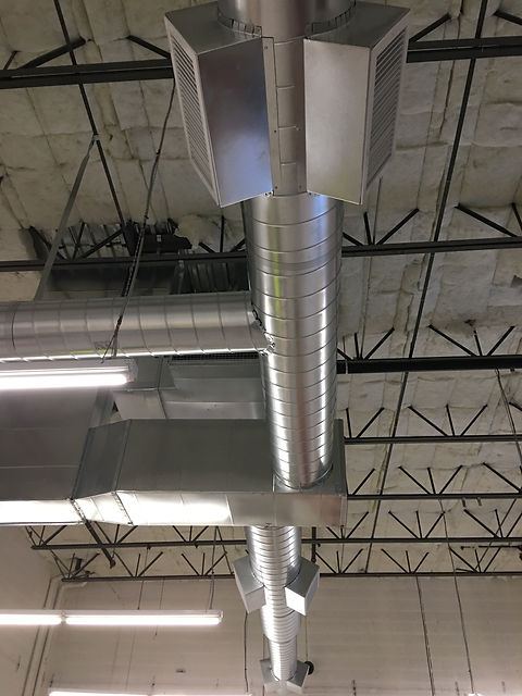 image1 (1).jpeg