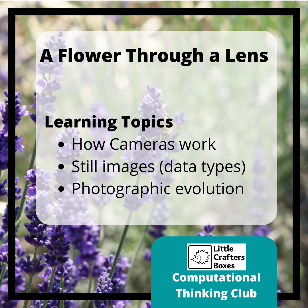 A Flower through a Lens