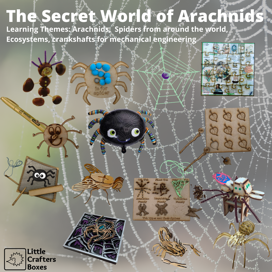 Instructions-Arachnids Series