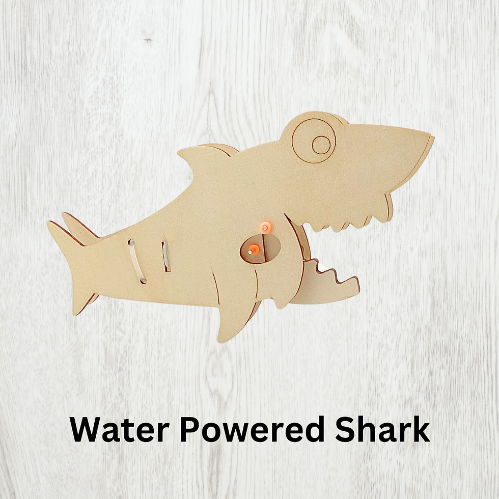 Thumbnail: Nautical Navigating: Sharks Boxes