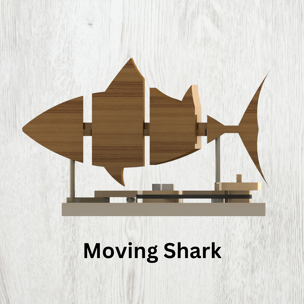 Thumbnail: Nautical Navigating: Sharks Boxes