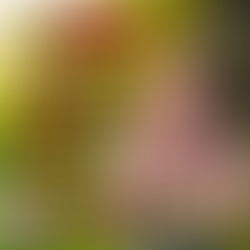 Master Happiness with Marty Jalove