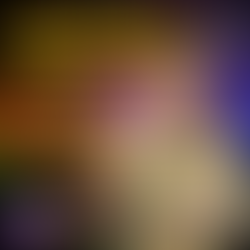 Master Happiness with Marty Jalove