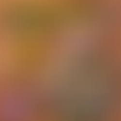 Organize - Master Happiness with Marty Jalove