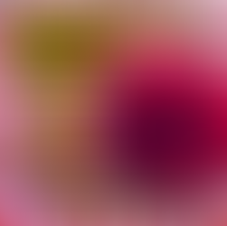 Nurture that Relationship - Master Happiness with Marty Jalove