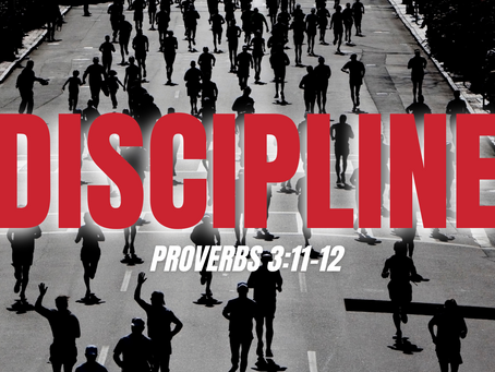 The Path of Discipline