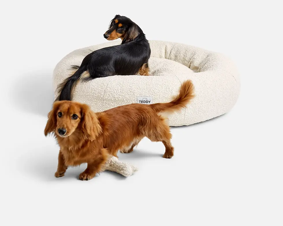 Thumbnail: WIT WOLKBED BOUCLÉ