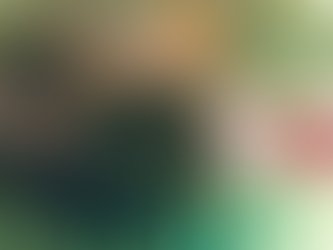 Un monde de fractales