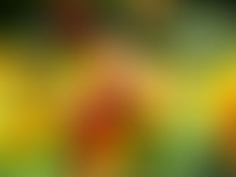 Décider de se choisir