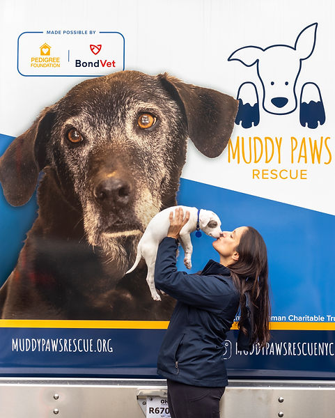 Muddy Paws Rescued Dog