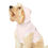 Thumbnail: Pet Hoodie (Pink)