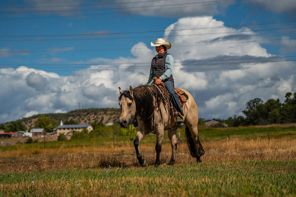 kylie 9-20-25 pasture-197.jpg
