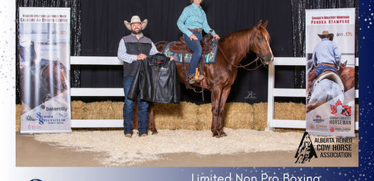 2023 Summer Spectacular - Limited Non Pro Boxing Champ - Katie Harvie and Katchinas Copy C