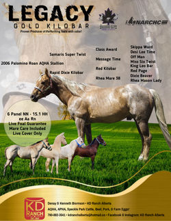 Legacy Gold Kilobar